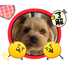 daichi_20260211131042