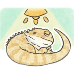 近所のとかげさん