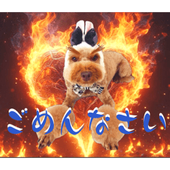 KUROSAKI-P_20260211132157