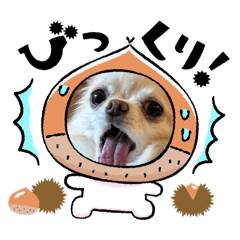 YURURU_20260211215000