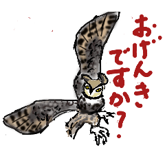 mayumi sanou_20260211214653