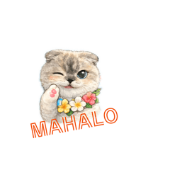 happyhula_20260210234637