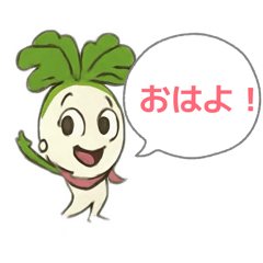 kazuya75_20260211120407