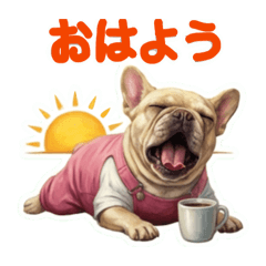 YUKA_20260211150912