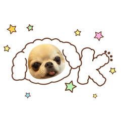 futaro_20260211151124