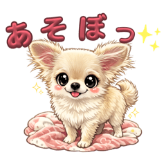 kazukichi_20260211224556