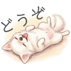 makoto_20260211225235