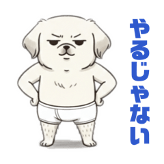 A Pensive Peke in Briefs