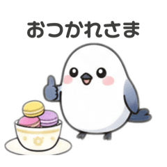 chocotto_20260211133256