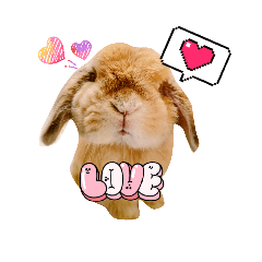 Asako_20260211134353