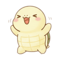 かめのチビちゃん2