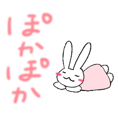 spring Cherry blossoms