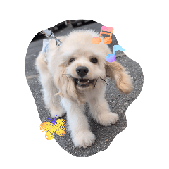 Ponta_20260211211703