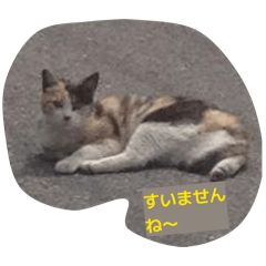 Yottchann03_20260209132100