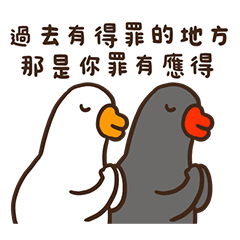 Black and white goose 29