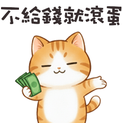 lovely lovely cute cat 5