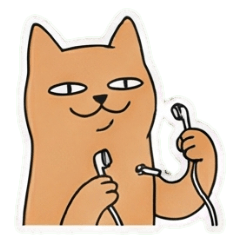 Cat Lifestyle Shop-20