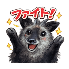 kaeru_20260211141117