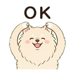 koko_20260211155438