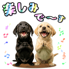 気持ちを伝えるラブラドール