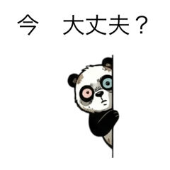 Bear's_20260211181543