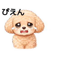 yukke_20260211182751