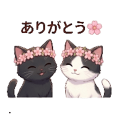 Leo & Kuro in Spring