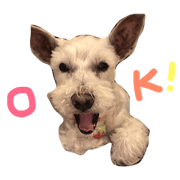 MR.TOTO STAMP