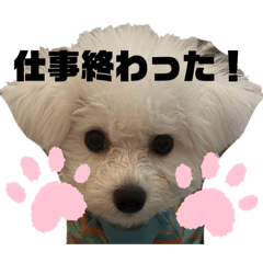 ayana_20260211221451