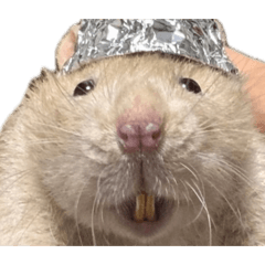 Mikasa_20260211235117