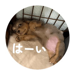 HOTARU_20260211235940