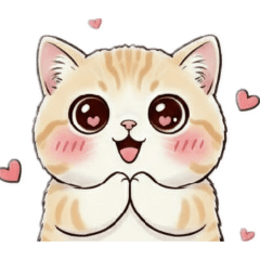 Motiko_20260212053745