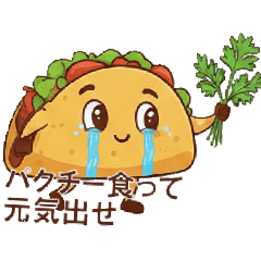 taco everyday