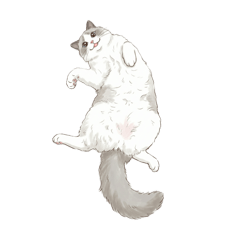 PONTA_20260211211201