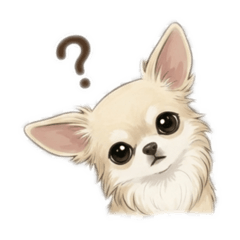 Chihuahua Life (Daily)