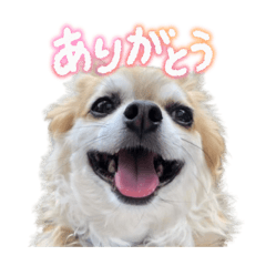 pipichan1