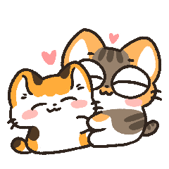 calico cat daily-03