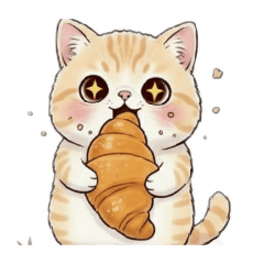 Motiko_20260212070533