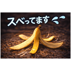 Hachi_20260212080008