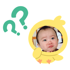 紹宇寶寶（鯊魚）