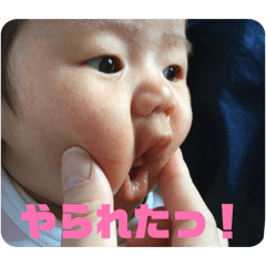Koko_20260211202329