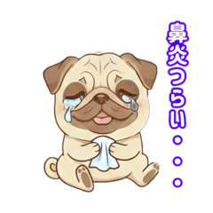 Akemi_20260211202711