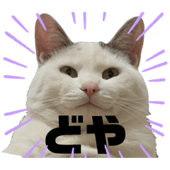 ayumi.h_20260211202405