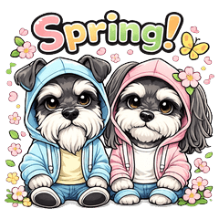 Schnauzer Spring Link Style