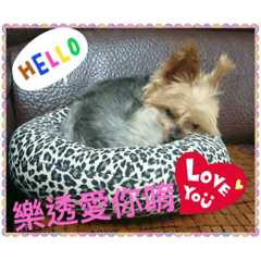我是樂透