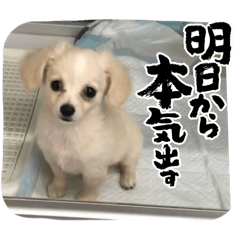 Rin.oh-14_20260211153030