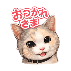 miruru_20260211153215