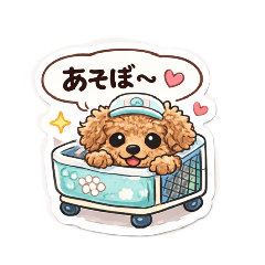 maririn_20260212100829