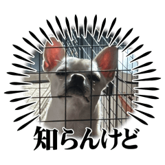 mi_ya_20260212100453