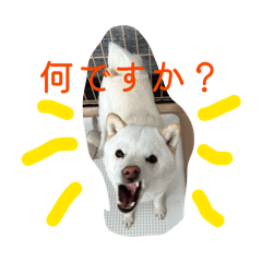 makoto_20260212114036